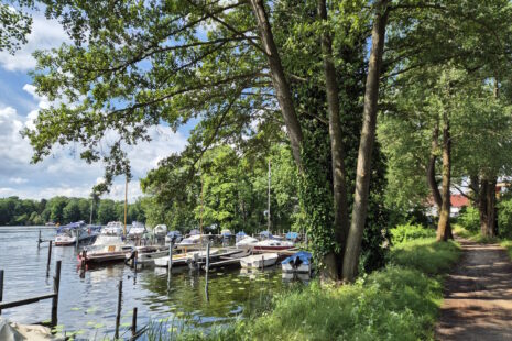 Tegeler-See-Wanderung: Tegelort