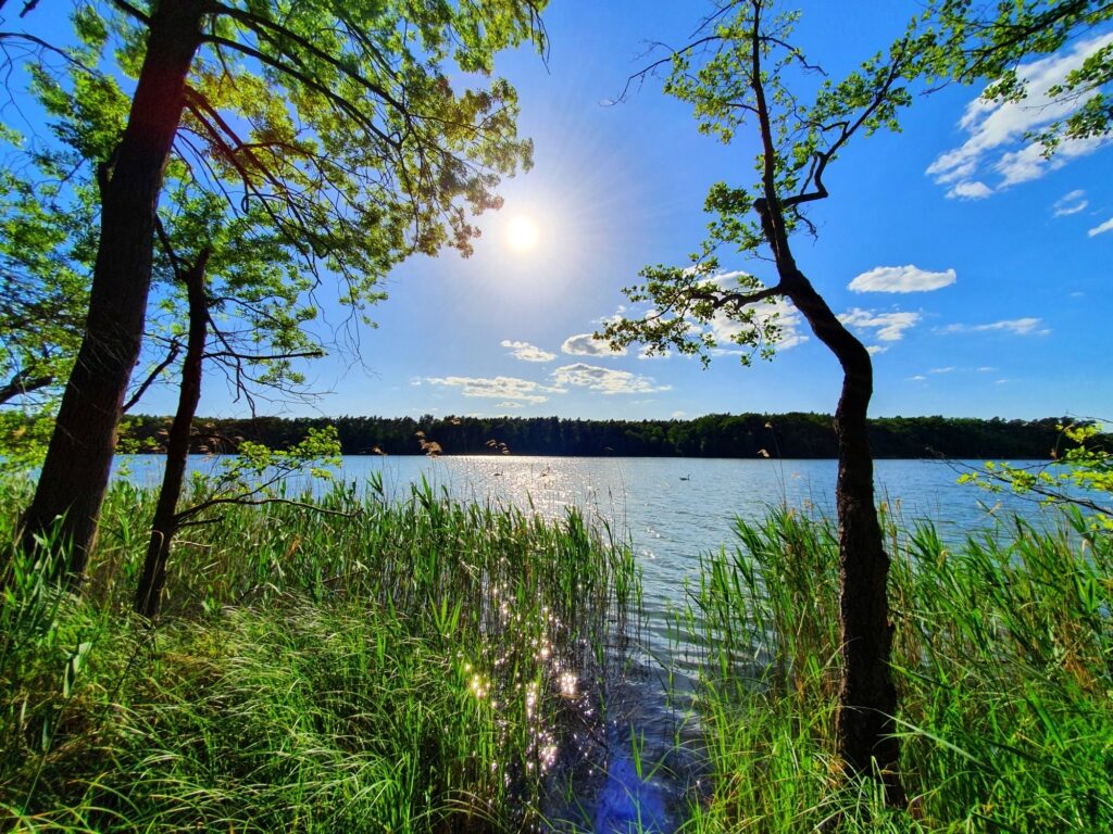 Von Werneuchen nach Strausberg: Bötzsee