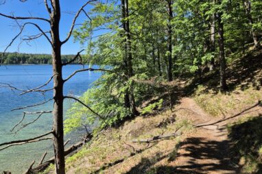 Werbellinsee-Wanderung: Wilder Abschluss vor Joachimsthal