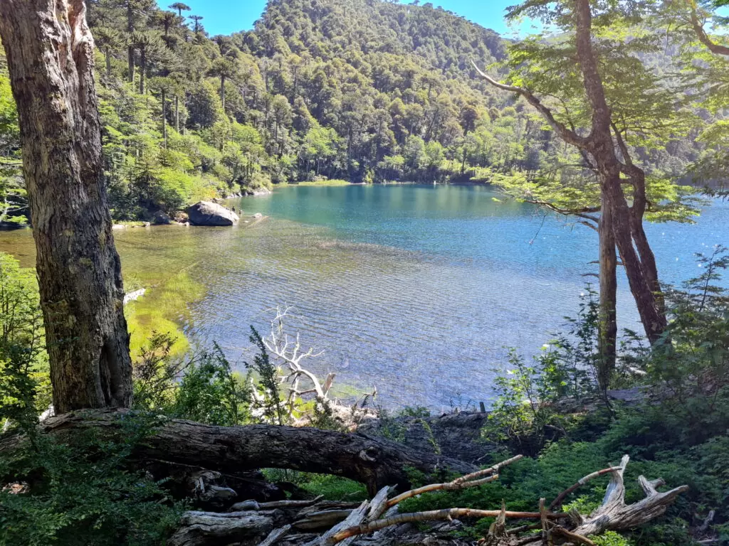 Wildnis im Nationalpark Huerquehue, Chile