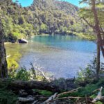 Wildnis Wildnis im Nationalpark Huerquehue, Chile