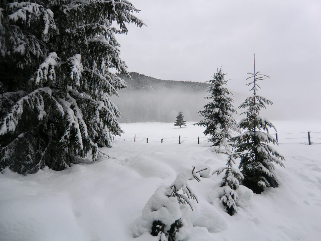 Winterstimmung in Österreich