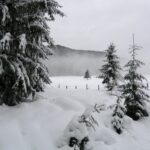 Winter Winterstimmung in Österreich