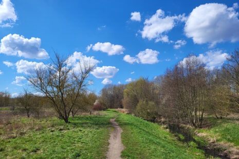 Wuhletal-Wanderung: Aue in Hellersdorf